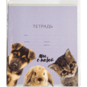 Набор обложек д дневников и тетрадей "deVENTE. Друзья" 355x213мм ПВХ 140мкм 3шт 8051210/30/Китай