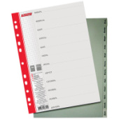 Разделитель А4 по месяцам янв-дек пластик Берлинго 04010/50/Китай Разделитель А4 по месяцам янв-дек пластик Берлинго 04010/50/Китай