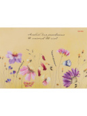 Альбом для рисования А4 20л проклееный ПОЛЕВЫЕ ЦВЕТОЧКИ 20-3943 Проф-Пресс/20/Россия Альбом для рисования А4 20л проклееный ПОЛЕВЫЕ ЦВЕТОЧКИ 20-3943 Проф-Пресс/20/Россия