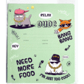 Набор обложек д дневников и тетрадей "deVENTE. Hey Bro" 355x213мм ПВХ 140мкм 3шт 8051401/30/Китай