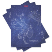 Тетрадь А4 48л кл пластиковая обл ErichKrause® Galaxy Mixed Reality ассорти 51467/5/Россия Тетрадь А4 48л кл пластиковая обл ErichKrause® Galaxy Mixed Reality ассорти 51467/5/Россия