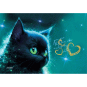 Накладка на стол 3D" deVENTE. Black Cat" 43x29см пластик 500мкм 8061407/20/Китай Накладка на стол 3D" deVENTE. Black Cat" 43x29см пластик 500мкм 8061407/20/Китай